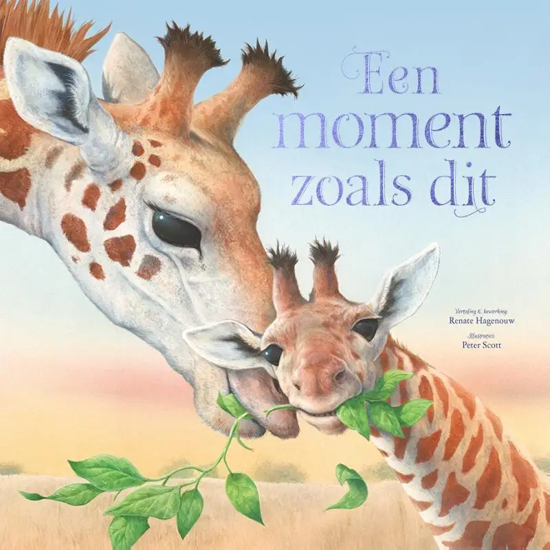 Rebo boek moment zoals dit