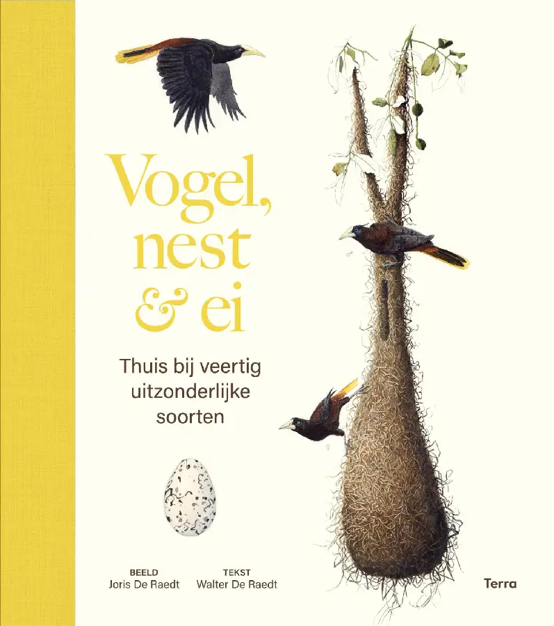 Vogel, nest & ei