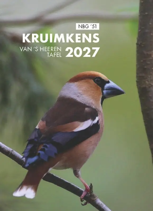 Kruimkens 2027