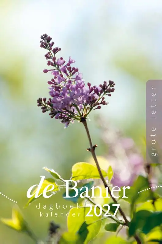 Banier dagboekkalender 2027 Grote letter