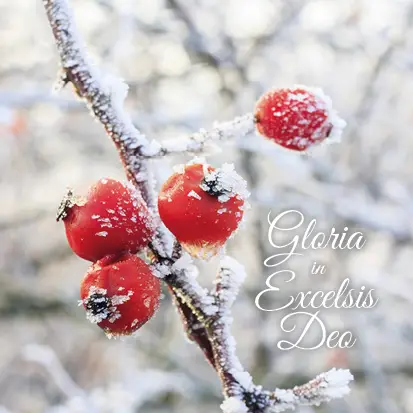 Kerstkaart gloria in excelsis deo