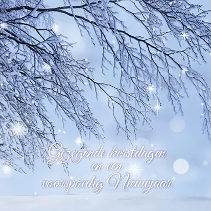 Kerstkaart Gezegende kerstd tak met lich