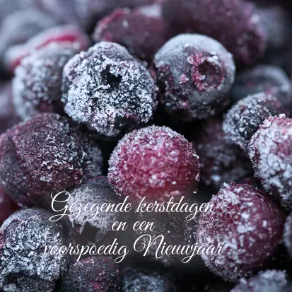 Kerstkaart Gezegende kerstd donkerrode