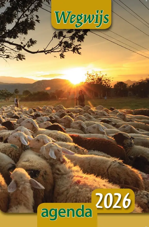 Wegwijsagenda 2026