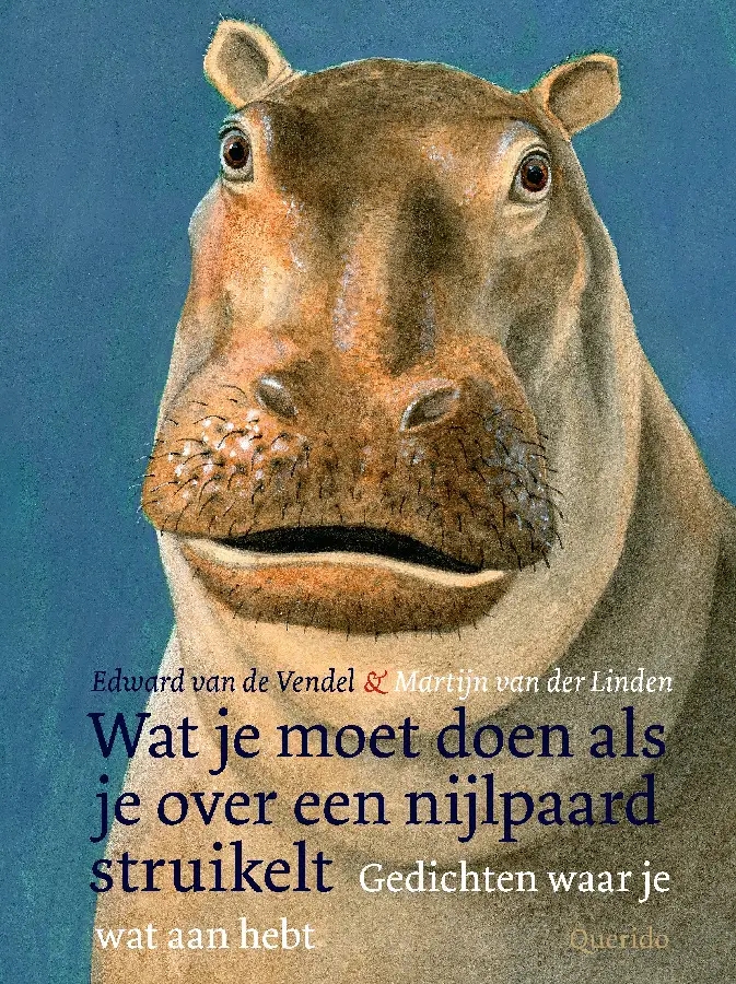 Wat je moet doen als je over een nijlpaa
