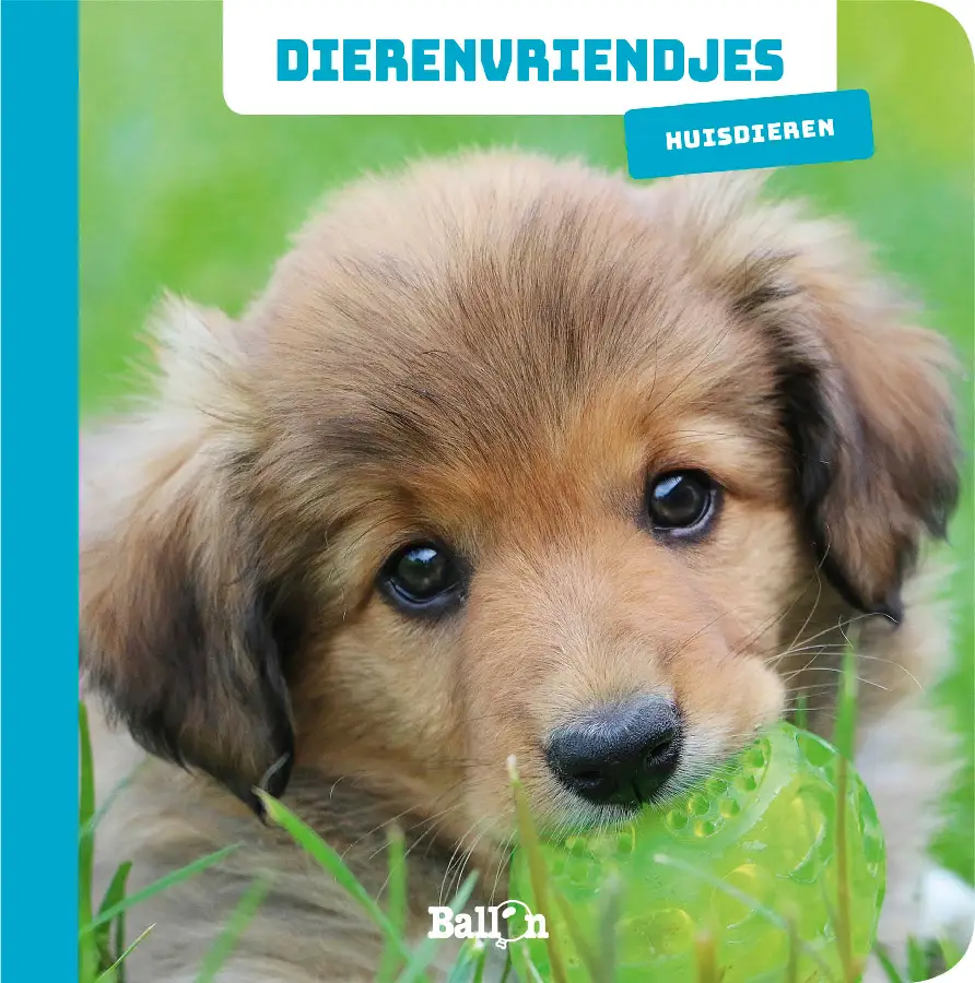 Dierenvriendjes huisdieren