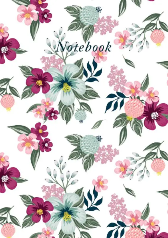 Notebook aster