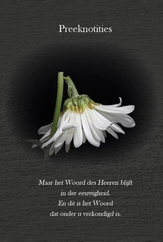 Preeknotities het verkondigde woord