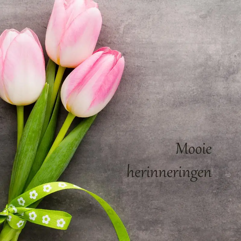 Notitieboek tulp + elastieken sluiting