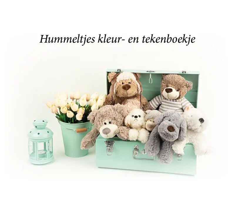 Kleur-en tekenboek hummeltje