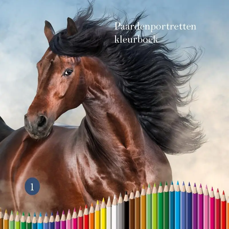 Paardenportretten kleurboek
