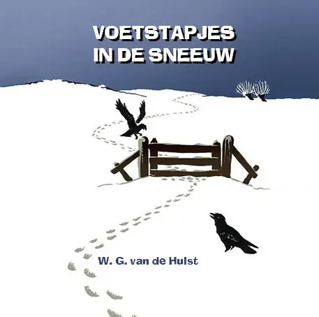 Voetstapjes in de sneeuw LUISTERBOEK