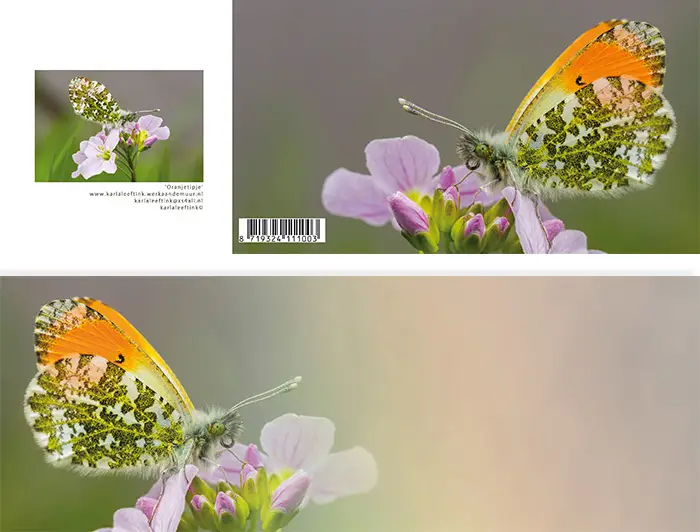 Panoramawenskaart zt oranjetipje