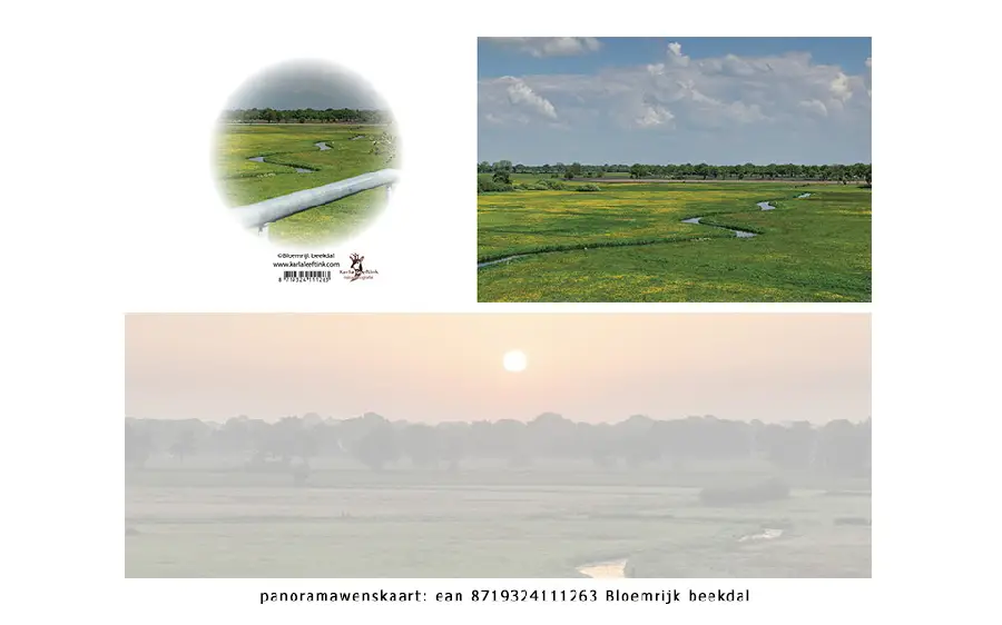Panoramawenskaart zt bloemrijk beekdal