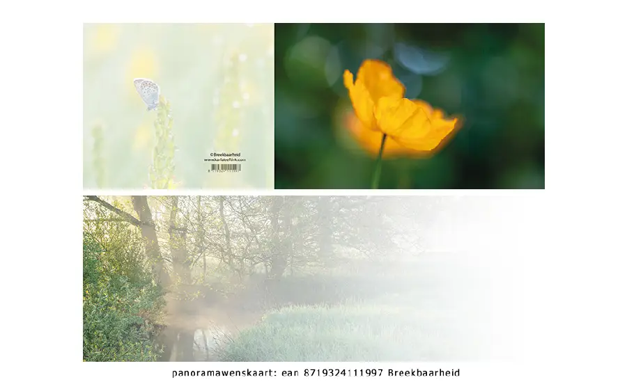 Panoramawenskaart breekbaarheid