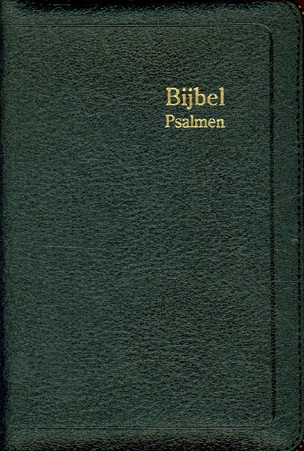 Dameszakbijbel D35R RITMISCH leer goudsn