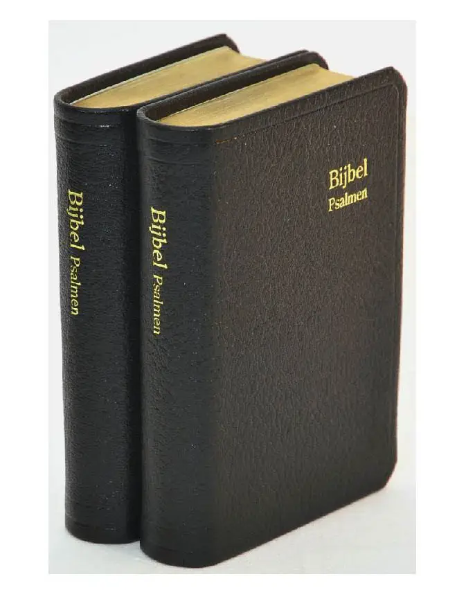 Dameszakbijbel D32R leer goudsnee