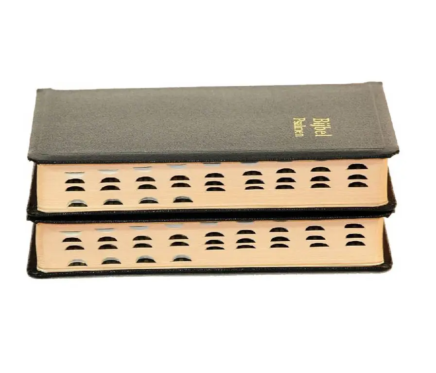 Dameszakbijbel D33R RITMISCH kunstleer