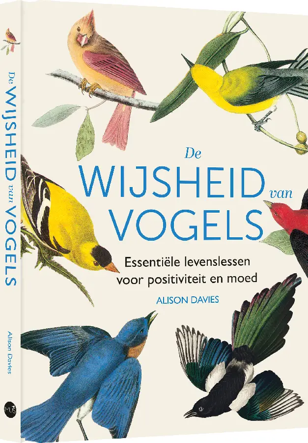 Wijsheid van vogels
