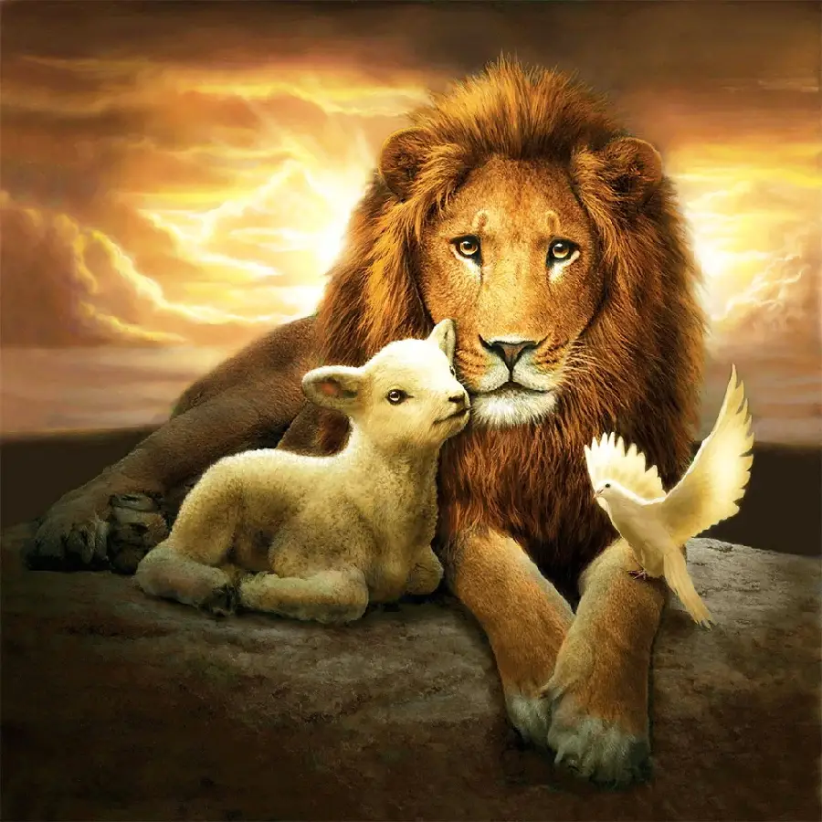 Lion & the lamb 40x40cm square drill