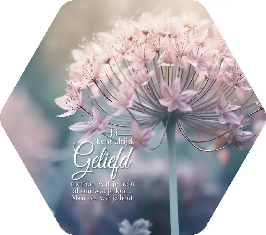 Jij bent altijd geliefd