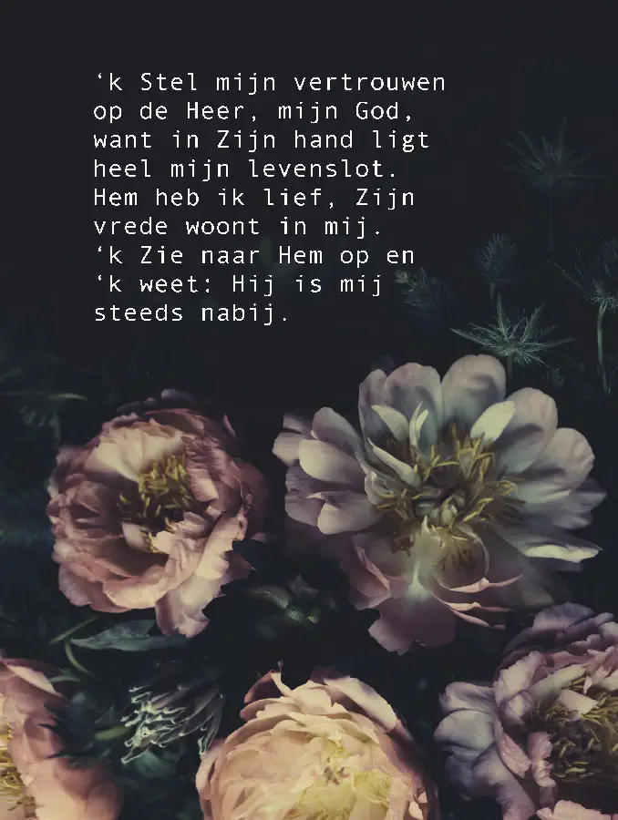 Wenskaart Stel mijn vertrouwen