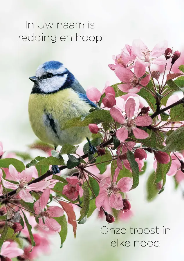 Wenskaart In Uw naam is redding en hoop