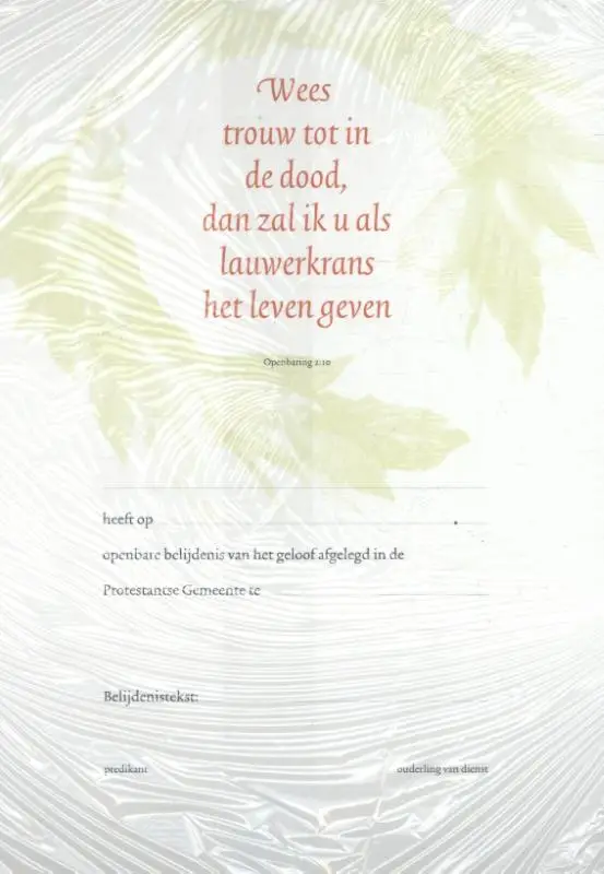 Belijdeniskaart 302 set 10